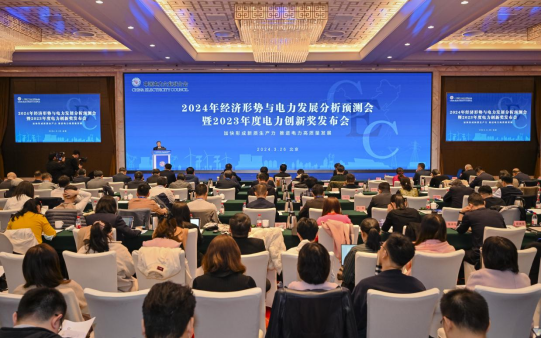2024年經濟形勢與電力發展分析預測會在京成功舉辦(圖1)