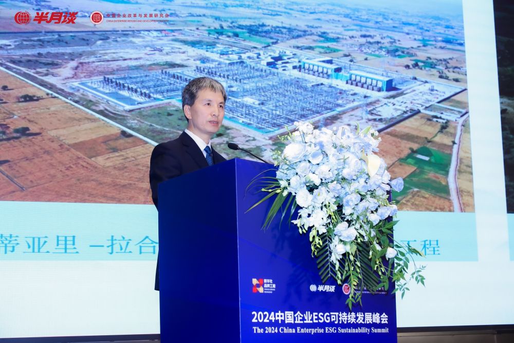 張會平：助力實現(xiàn)能源電力清潔低碳轉(zhuǎn)型“電亮美好世界”(圖1)