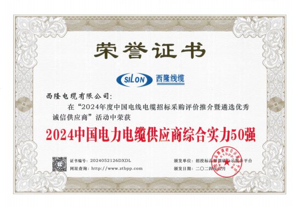 西隆電纜蟬聯“2024中國電力電纜十大品牌”雙重大獎(圖2)