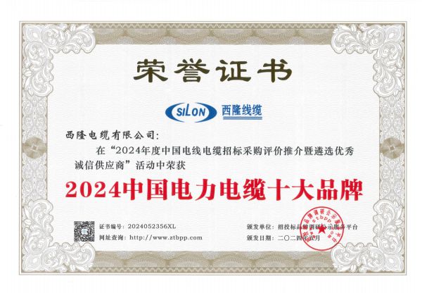 西隆電纜蟬聯“2024中國電力電纜十大品牌”雙重大獎(圖1)