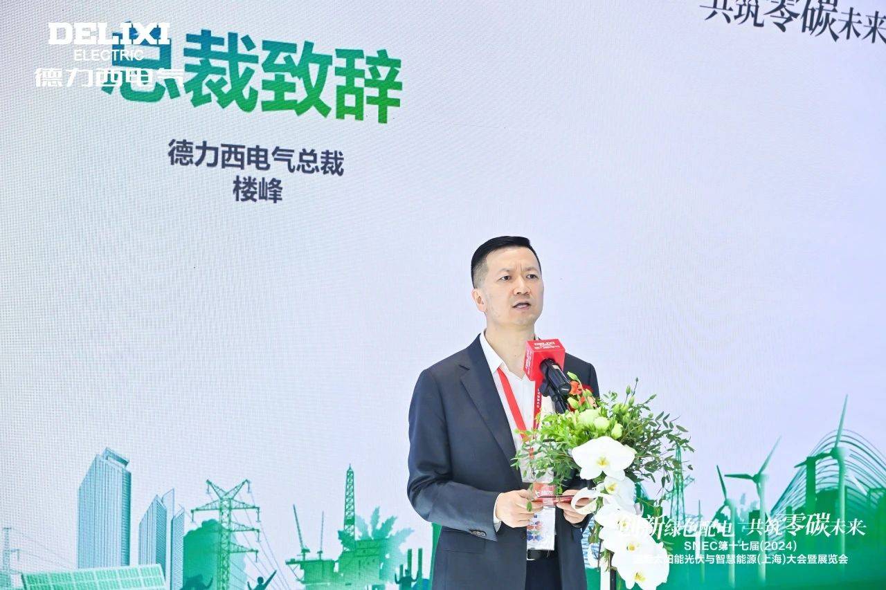 閃耀SNEC2024！德力西電氣以實力開啟“零碳之旅”(圖3)