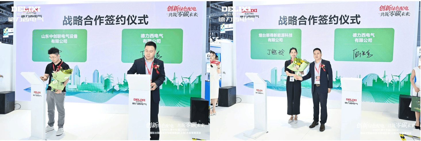 閃耀SNEC2024！德力西電氣以實力開啟“零碳之旅”(圖8)