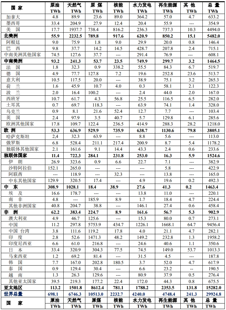 SRWE2024年報告：世界各國電力結構分析(圖1)