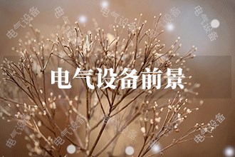 2024年電氣設(shè)備發(fā)展前景趨勢(shì)預(yù)測(圖1)