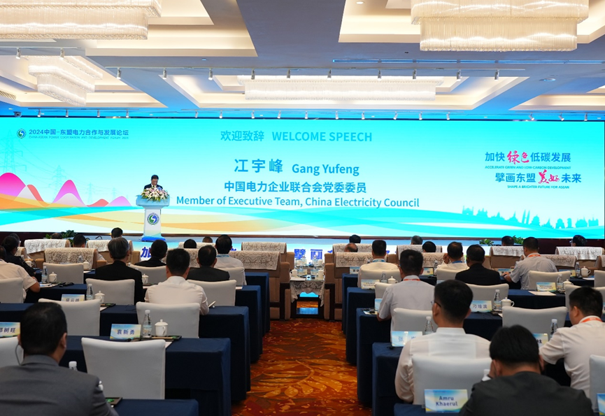 2024中國—東盟電力合作與發展論壇在南寧召開(圖1)