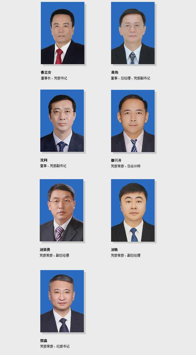 2024年兩核、兩建、三大電氣、三峽集團高層調(diào)整詳情(圖7)