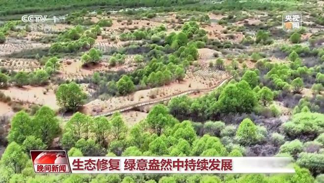 多維度很亮眼！我國綠色發展交答卷(圖8)