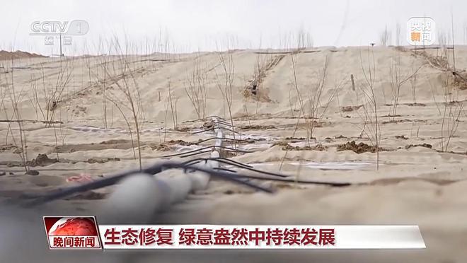 多維度很亮眼！我國綠色發展交答卷(圖7)